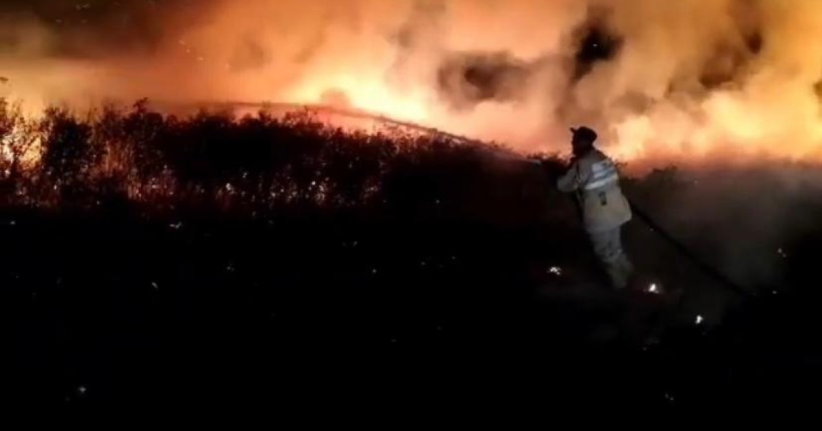 Өскеменде 10 гектар құрғақ шөп жанып жатыр (видео)