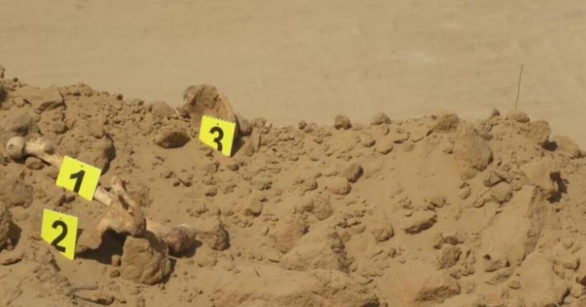 Оралда үй астынан 323 адамның дене сүйегі табылды