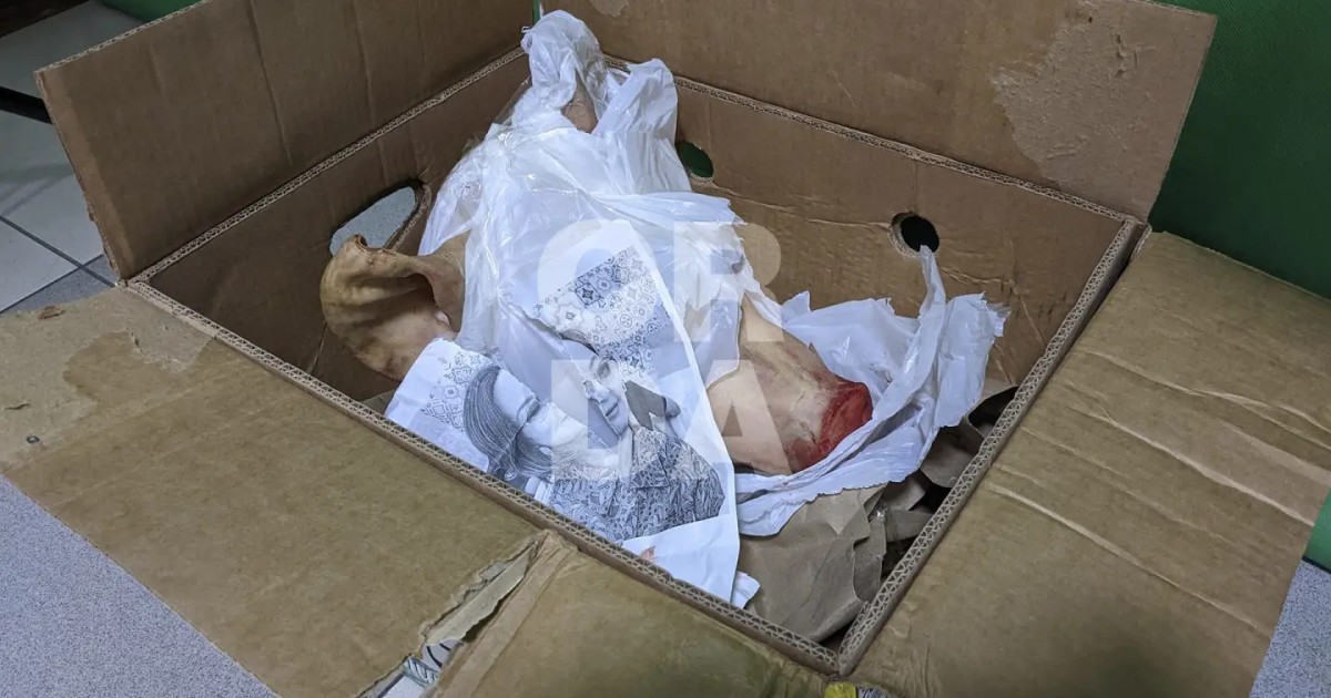 Orda.kz редакциясына белгісіз біреулер шошқаның басын жіберген