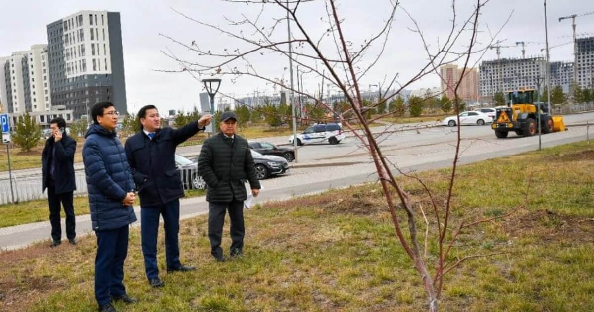 Елордадағы мектептерде 26 мың оқушыға орын жетпейді - АЙМАҒАМБЕТОВ
