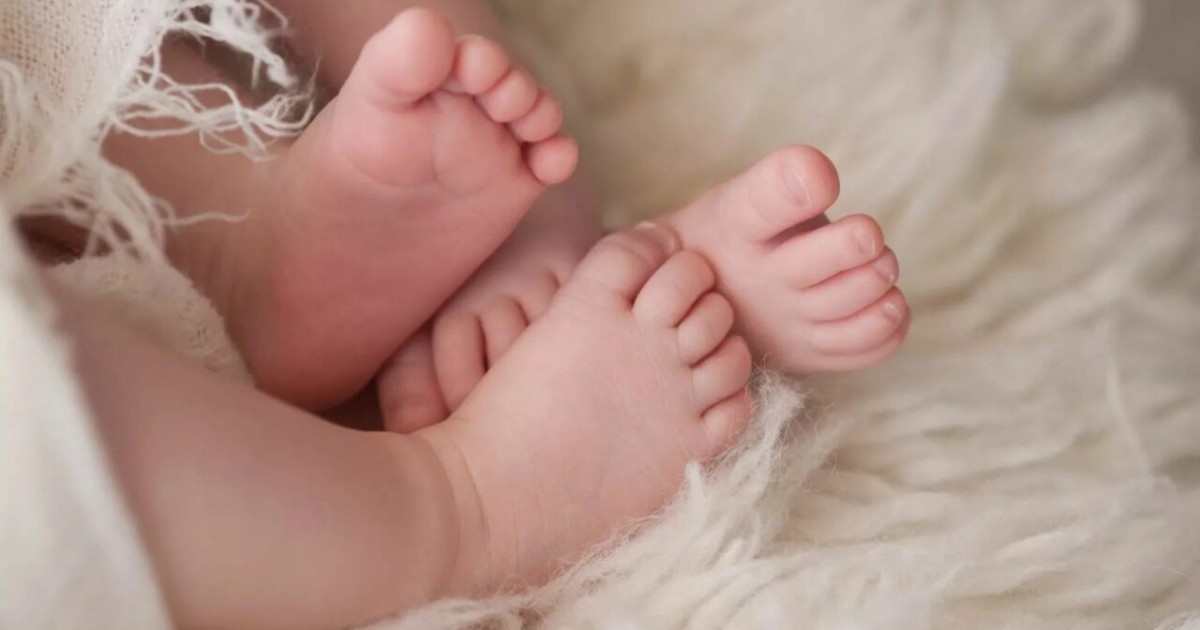 Бір денесі, екі басы, төрт қолы бар егіздер дүниеге келді