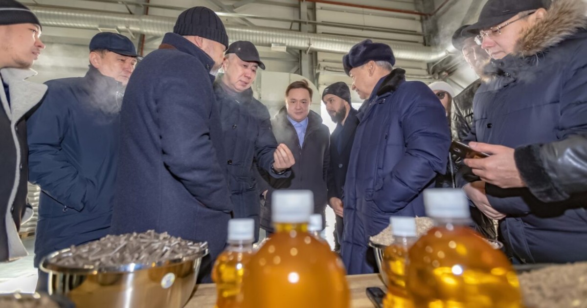 Елдің күнбағыс майына деген сұранысын ШҚО кәсіпорындары жаба ала ма?