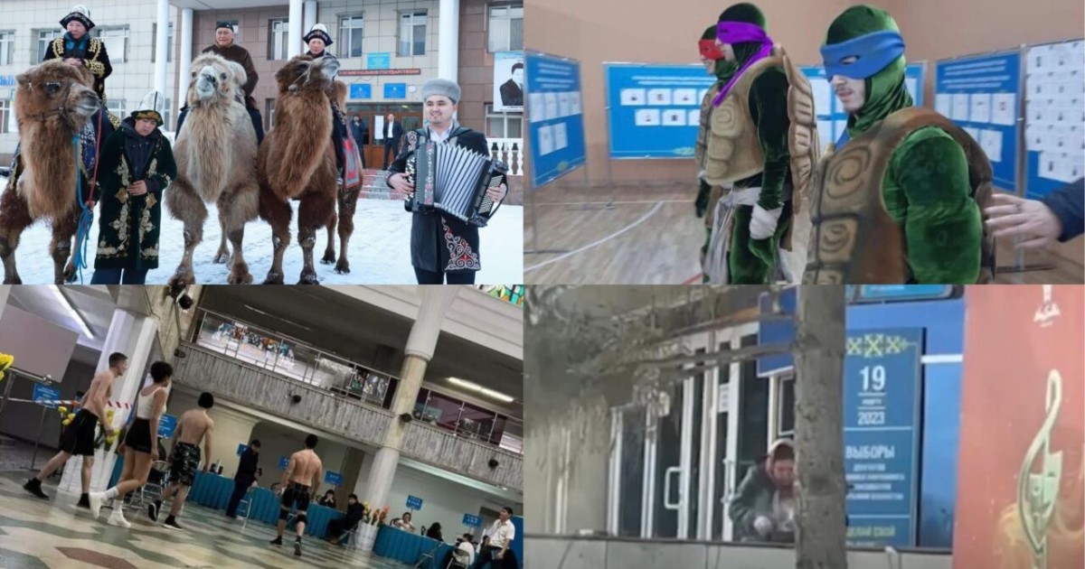 Дивандағы жігіт, тасбақа адамдар: сайлаудағы қызықтар