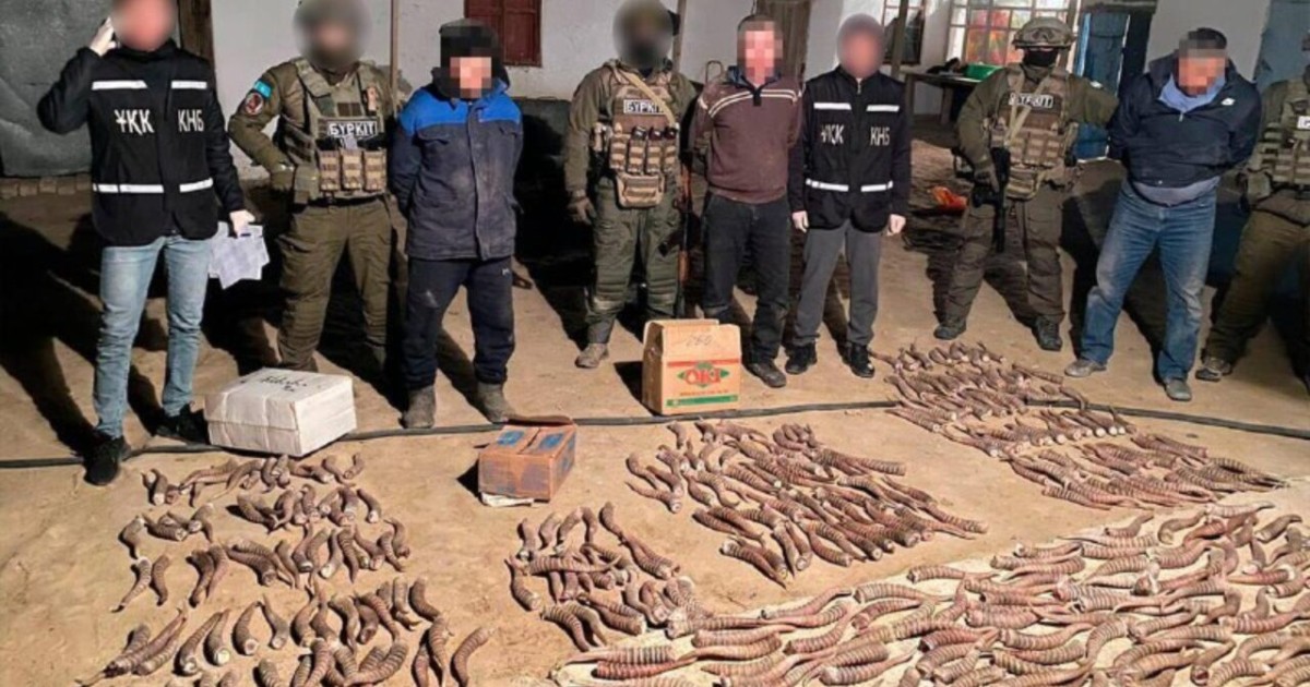 Қызылорда облысының тұрғыны 100 кг ақбөкен мүйізін сатпақшы болған
