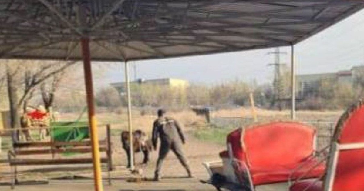 Хайуанаттар бағында жылқы адамдарға тап берді