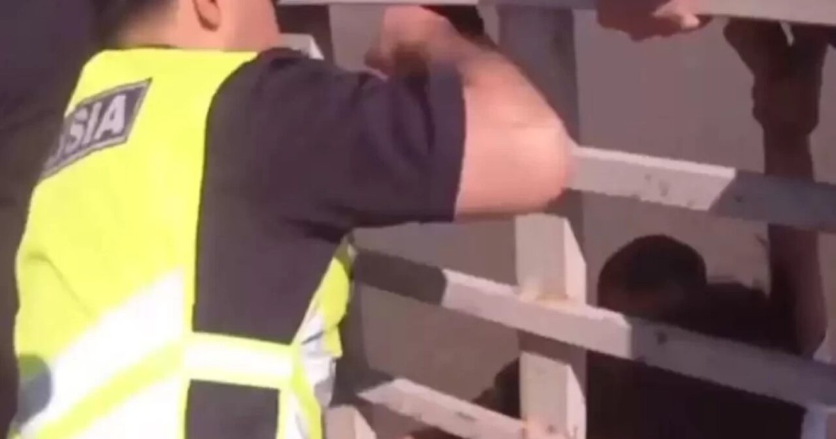 Полиция көпірден секірмек болған қызды құтқарды