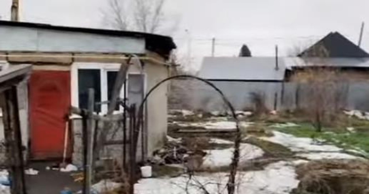 Кісі қолынан өлген зейнеткер мен ұлының қазасына қатысты тың ақпарат жарияланды