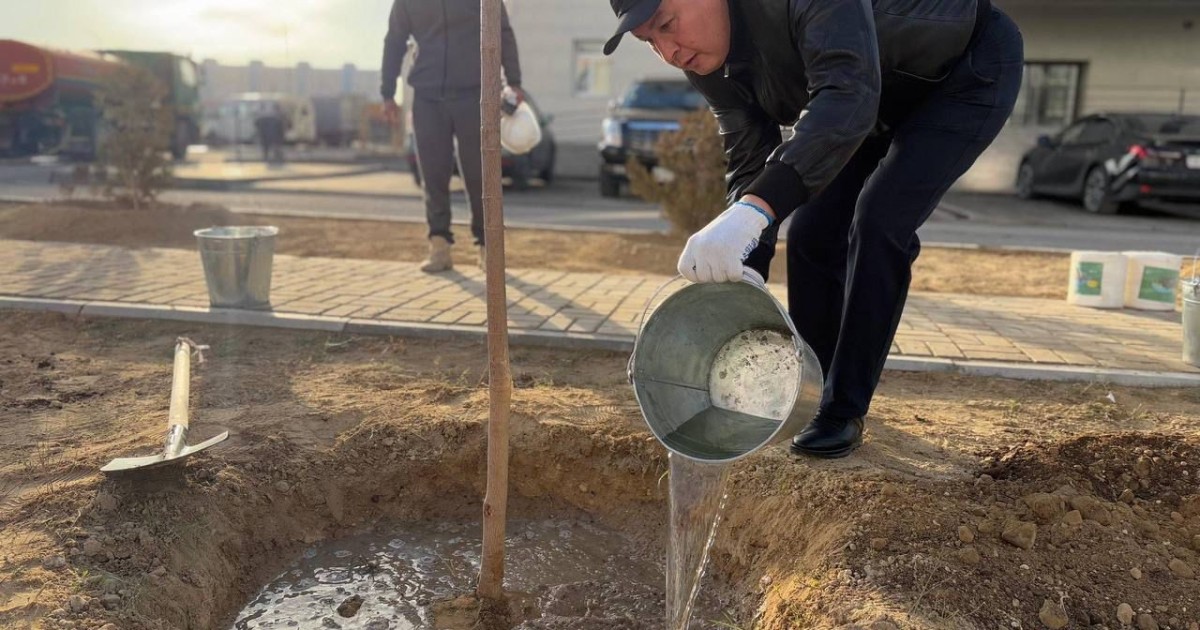 «Таза Қазақстан»: Ақтауда 7 мыңнан астам ағаш отырғызылды