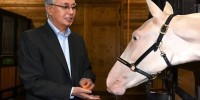 Жарқыраған Ақжан: Астанада туған ерекше жылқы несімен таңғалдырады?