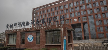 Маймыл шешек вирусы Ухань зертханасында жасалған ба?