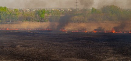 Төтенше жағдай қызметі неліктен бір жерде мәселе туындағанда ғана реакция береді?