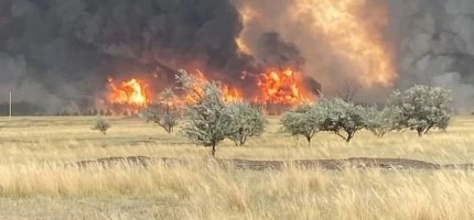 Қостанайда орман өрті тағы бір ауылға жетті
