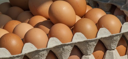 Қостанай дүкендерінде жұмыртқаны бір данадан сатып жатыр