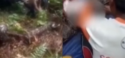 8 метрлік жылан 54 жастағы әйелді тұтастай жұтып қойды (ВИДЕО)