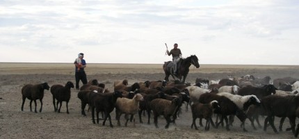 Ауытқуы бар азамат шаруа қожалығында 12 жыл құлдықта болған