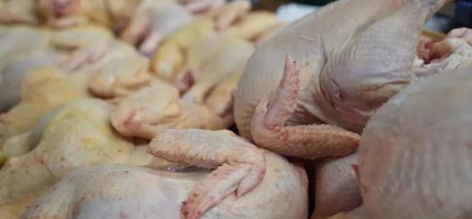 Қазақстанда тауық еті 28 пайызға қымбаттаған