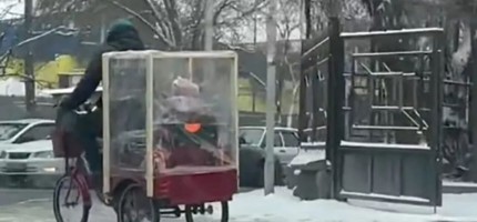 Қызын ерекше көлікпен мектепке апара жатқан әке жұртты таңқалдырды (ВИДЕО)