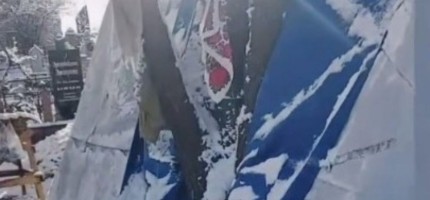 Алматылық 61 жастағы қария зиратта тұрып жатыр (ВИДЕО)