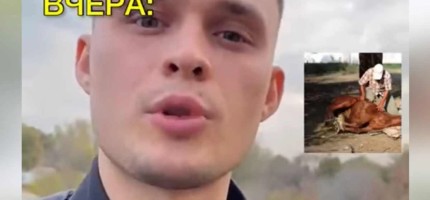 Ресейден келген мигрант қазақтарға жылқыны союға қарсылық білдіріп, қорғауға көшті