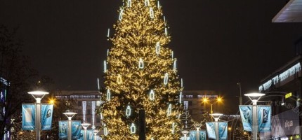 Құлсарыда жаңа жылдық шыршаны 17 млн теңгеге құрмақ