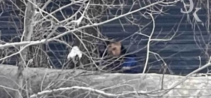 «Хат жолдаған да, асылып қалған»: форма киген жігіт суицид жасады