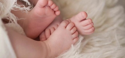 Бір денесі, екі басы, төрт қолы бар егіздер дүниеге келді
