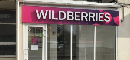 Елдегі ресейлік Wildberries 30 жылға салықтан босатуды талап етті