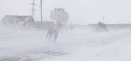 Ерлі-зайыпты мен немересінің өлімі: тағы тың мәлімет шықты