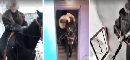 Қарағанды ​​облысында ер адам атпен бесінші қабатқа көтерілді