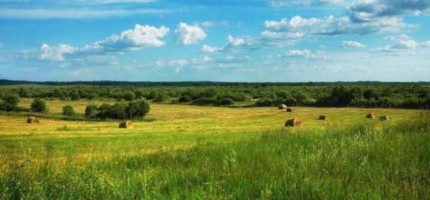 Қазақстан Ресейдің жалға алған 60 мың гектар жерін қайтармақ
