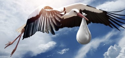 Елімізде пандемия кезіндегі беби-бум кезеңі аяқталған секілді