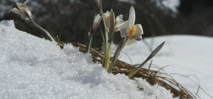 Наурыз мейрамында елімізде ауа райы қандай болады?
