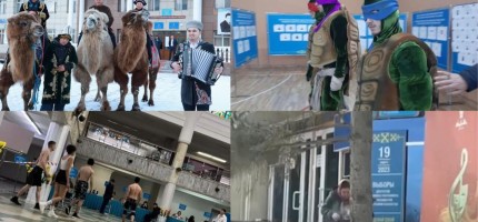 Дивандағы жігіт, тасбақа адамдар: сайлаудағы қызықтар