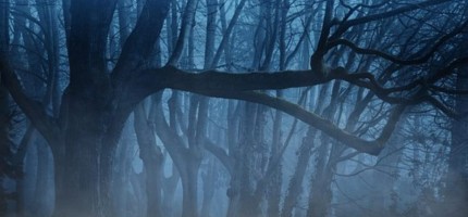 Қазақстанның 10 облысында дауылды ескерту жарияланды