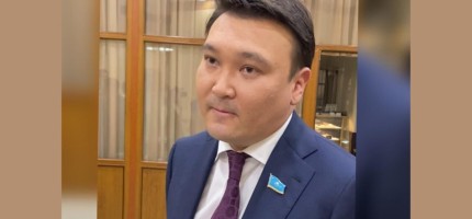 «Жауапкершілік жоқ, бір-біріне сілтейді» – Мақсат Толықбай