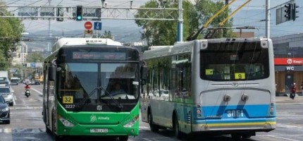 Алматы автобустарында «тегін шабандоздар» қандай қулық жасайды?