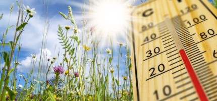 Бүгін 33 градусқа дейін күн ысиды