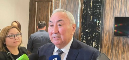 Жигули Дайрабаевтың екі ұлына қатысты сот үкімі шықты