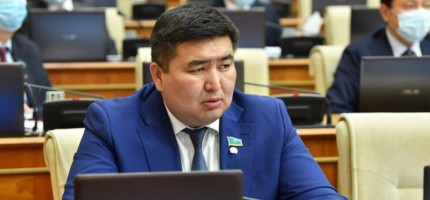 «Дүкенге баруға қорқасың»: депутат қымбатшылық халықты қысып жатқанын айтты