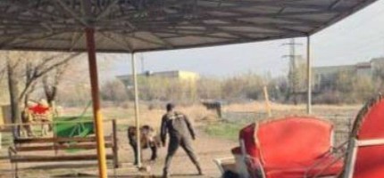 Хайуанаттар бағында жылқы адамдарға тап берді