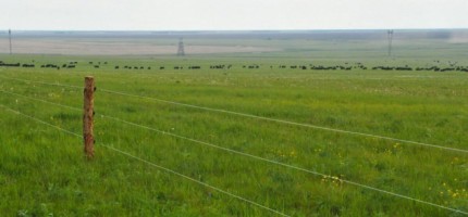 «Оттамасын!»: АШМ жердің Қытайға сатылып жатқанына қатысты үн қатты
