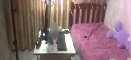 Шымкентте порнография таратумен айналысқан топты ұйымдастырушы 12 жылға сотталды