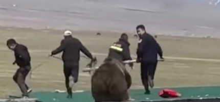 Желіде адамдарға шабуыл жасаған аюдың видеосы тарады (ВИДЕО)