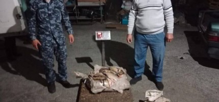 Жетісу облысында ер адам 100 келіге жуық балықты заңсыз аулаған