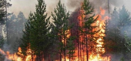Ресейдегі орман өртінен шыққан түтін Солтүстік Қазақстанда да сезілді