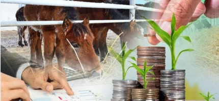 Ақтөбелік депутат 457 млн теңге заңсыз субсидия алған