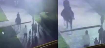 Ат мінген адам бірнеше бүлдіршінді таптап кетті