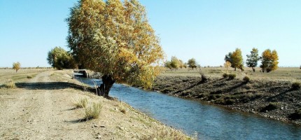 Жаркентте жоғалып кеткен 3 жасар баланың мәйіті табылды