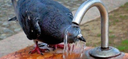 Ертең 43 градус ыстық болады