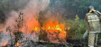 Семейдегі өрттен қаза тапқандардың нақты саны белгілі болды